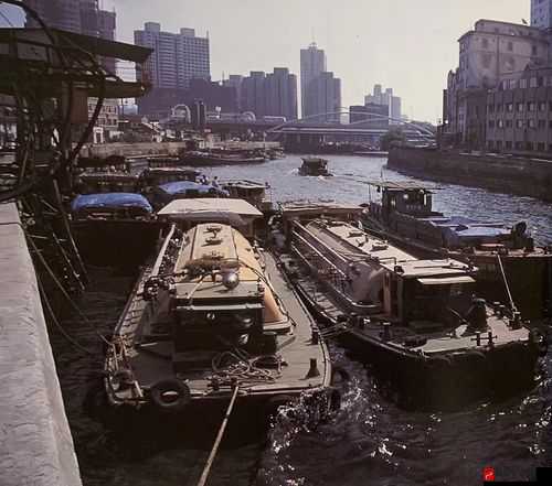 老卫把船开到河中心去：一场惊心动魄的冒险之旅即将展开